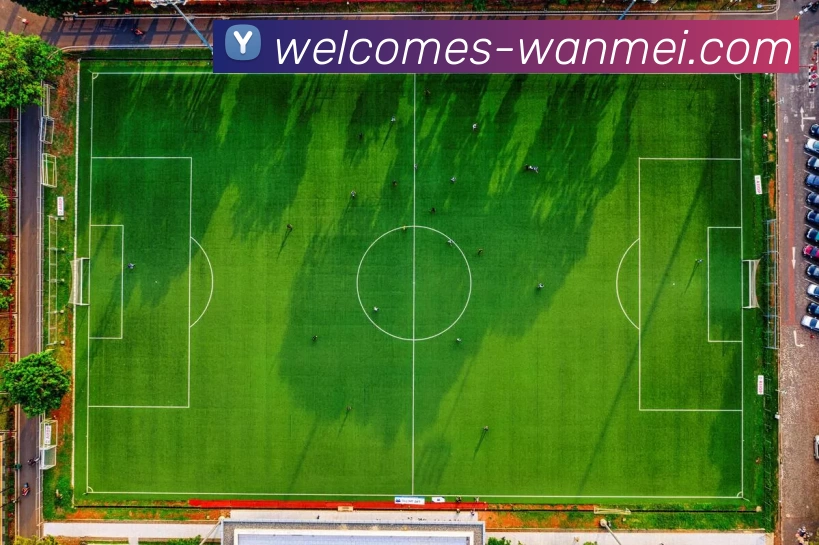 完美体育投注平台服务体系